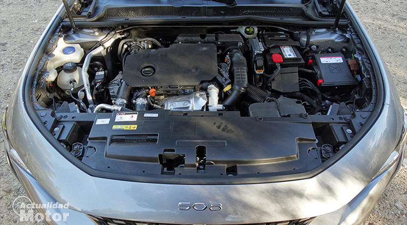 Test Peugeot 508 Gt Line 1.5 Bluehdi 130 Hp Auto (Video), The Theory Of Evolution