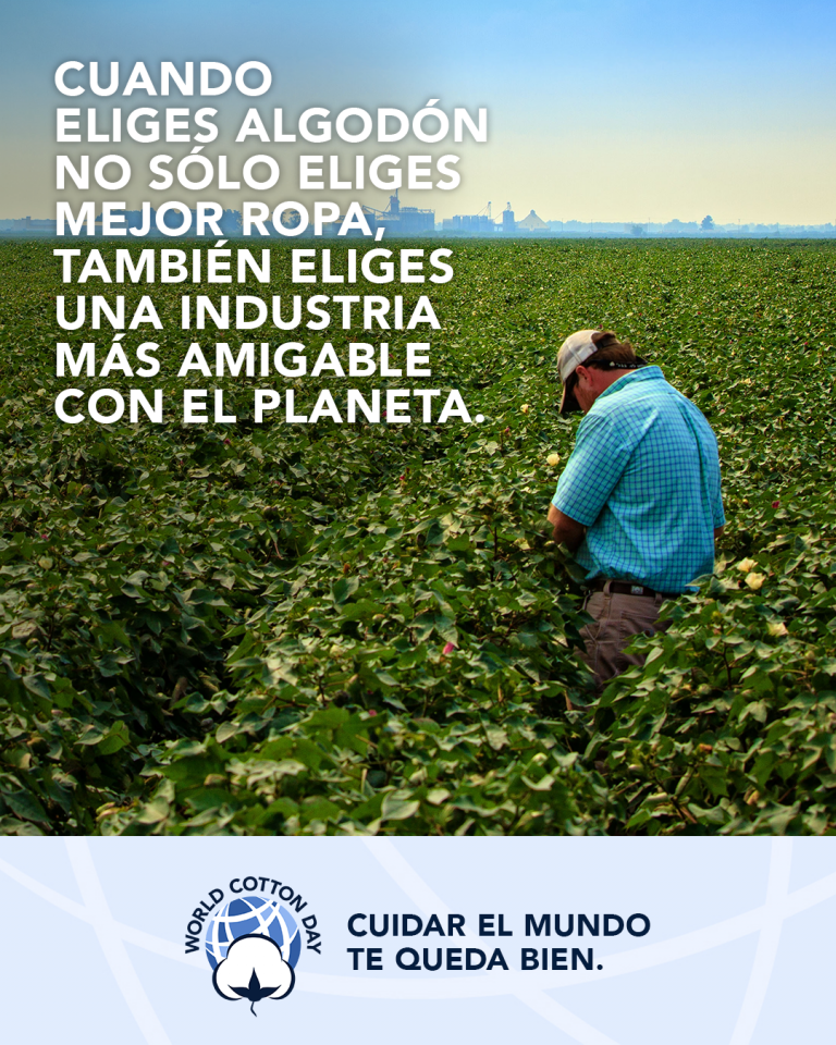 Latin America World Cotton Day