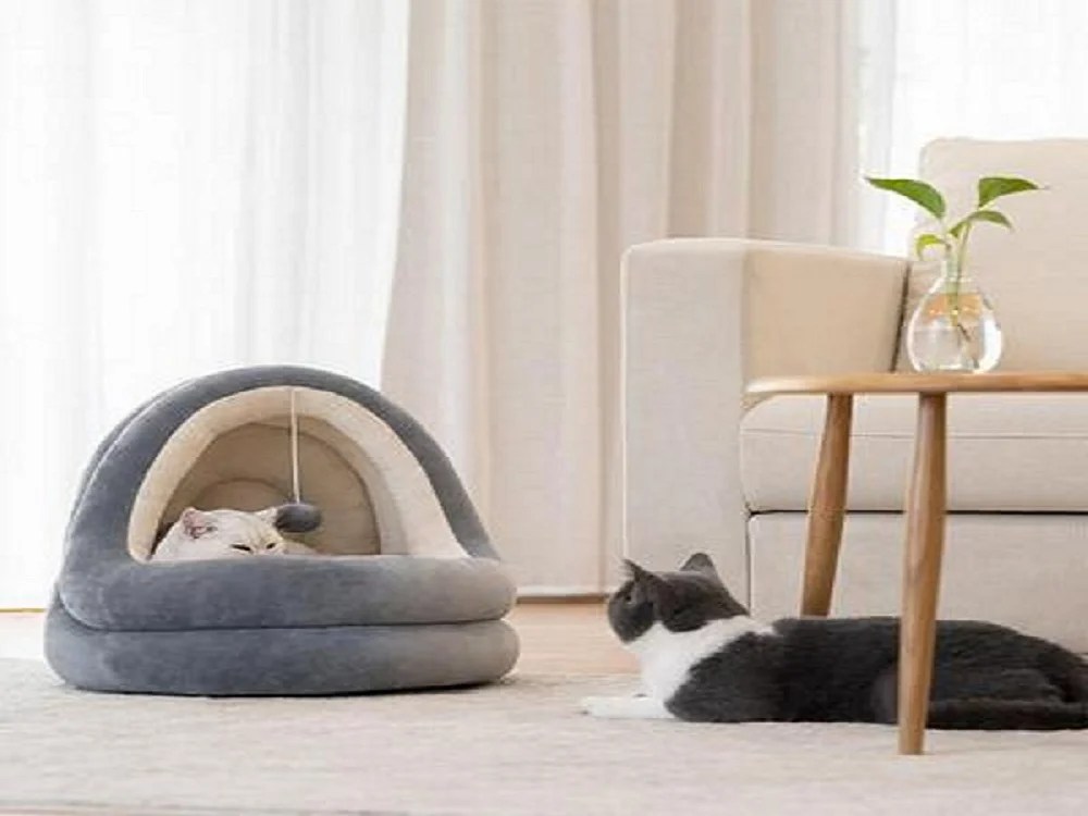 6 BEST GIFTS FOR CATS IN 2021