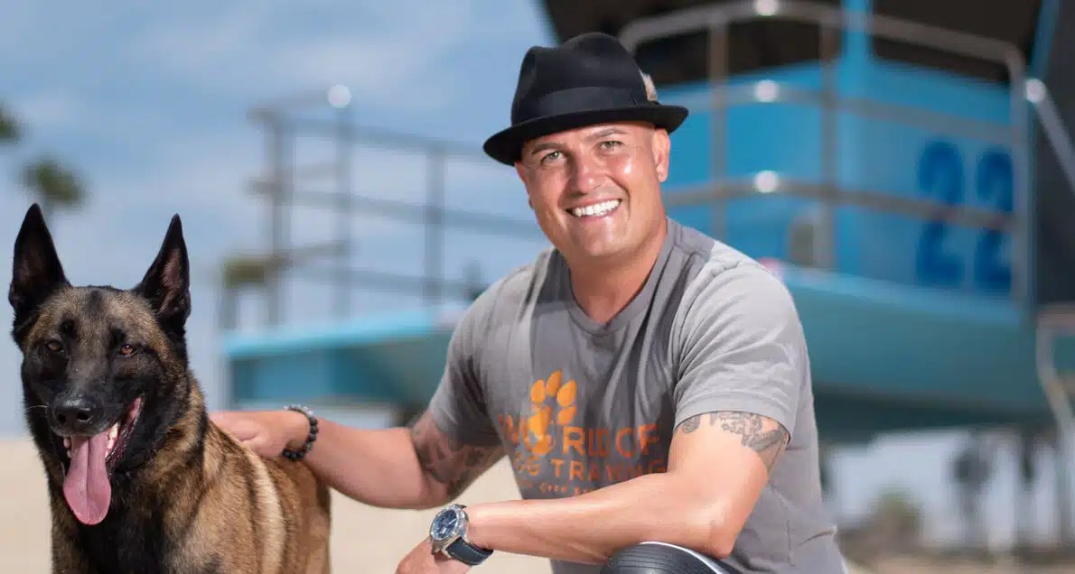 Best Dog Trainer in Los Angeles, Orange County Virtual Dog Training