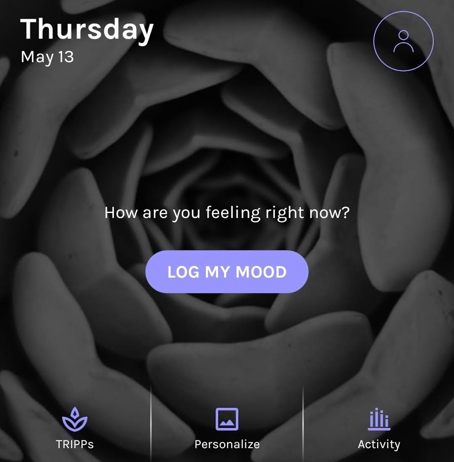 Tripp VR Review World Of Geek Stuff