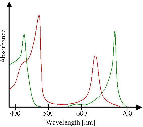 The Chlorophyll Molecule Chemical and Physical Properties
