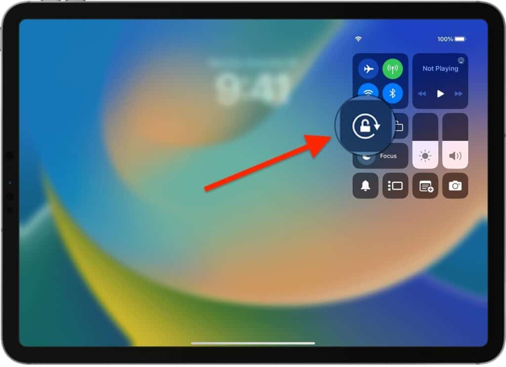 How to Rotate the Screen on Your iPad w/ Troubleshooting Tips