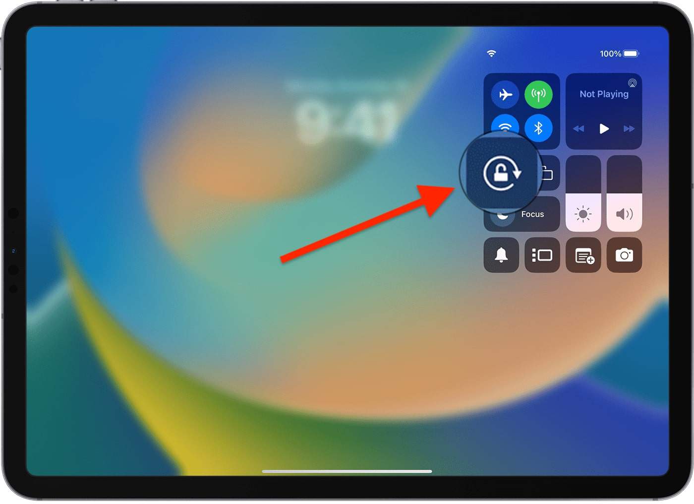 How to Rotate the Screen on Your iPad w/ Troubleshooting Tips