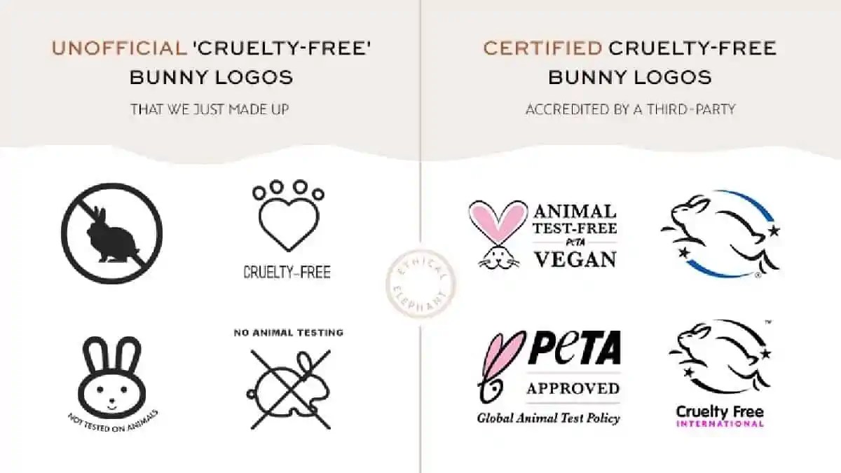 30+ Best Vegan Makeup Brands (100 CrueltyFree) World of Vegan