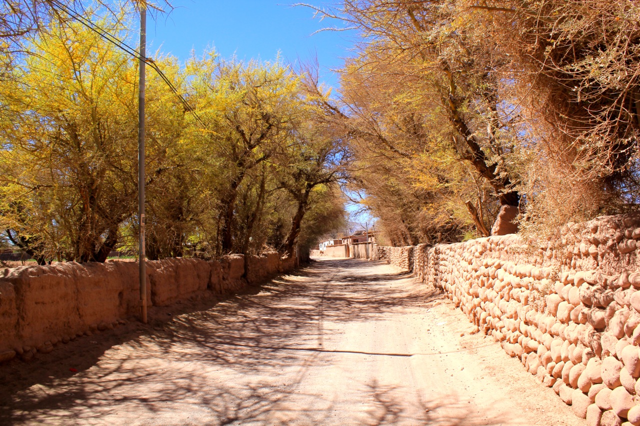Visiting the Driest Place in the World San Pedro de Atacama WORLD OF