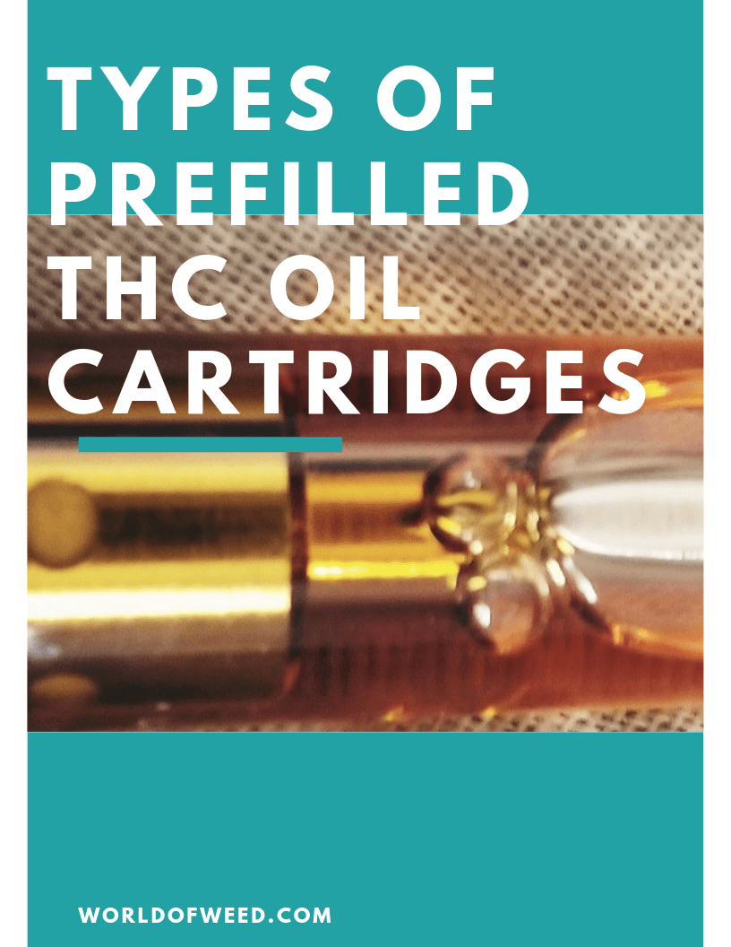 The Different Types of Prefilled THC Oil Cartridges Explained World