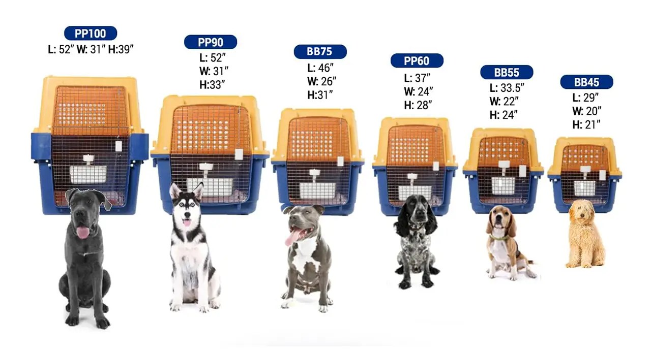 Pet Travel Crates World Pet Travel