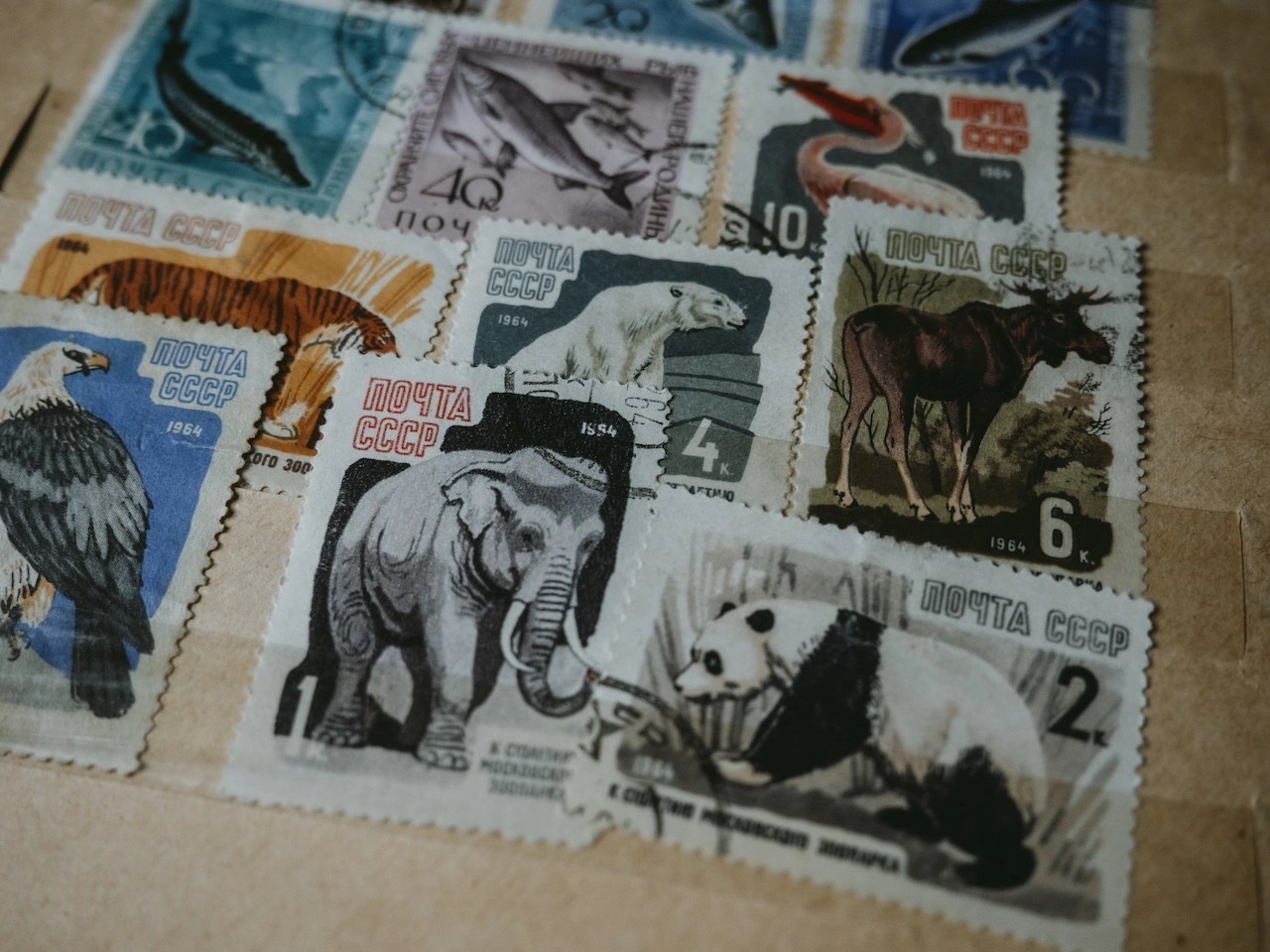 The Art of Stamp Collecting Expert Tips for Building and Preserving