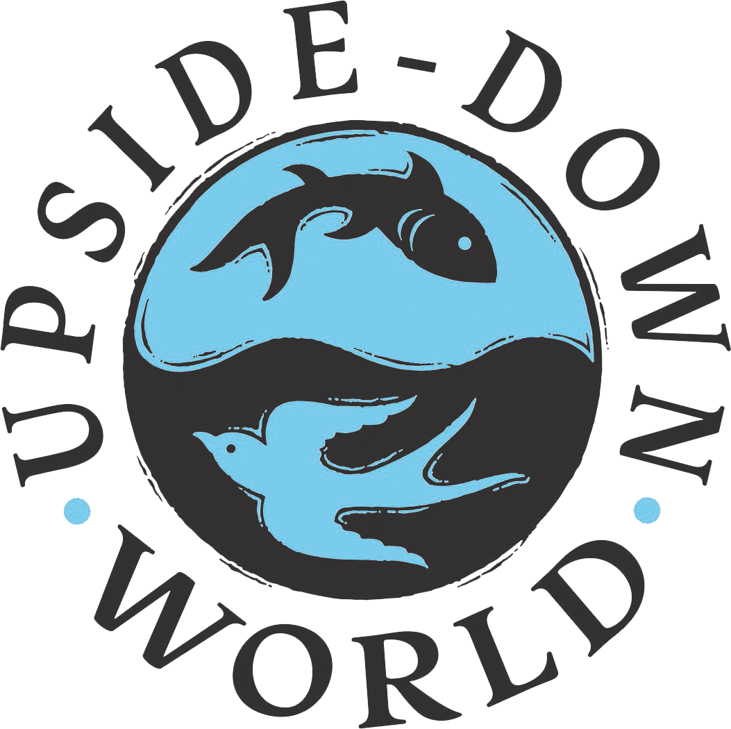 Upside Down World The World Turned Upside Down