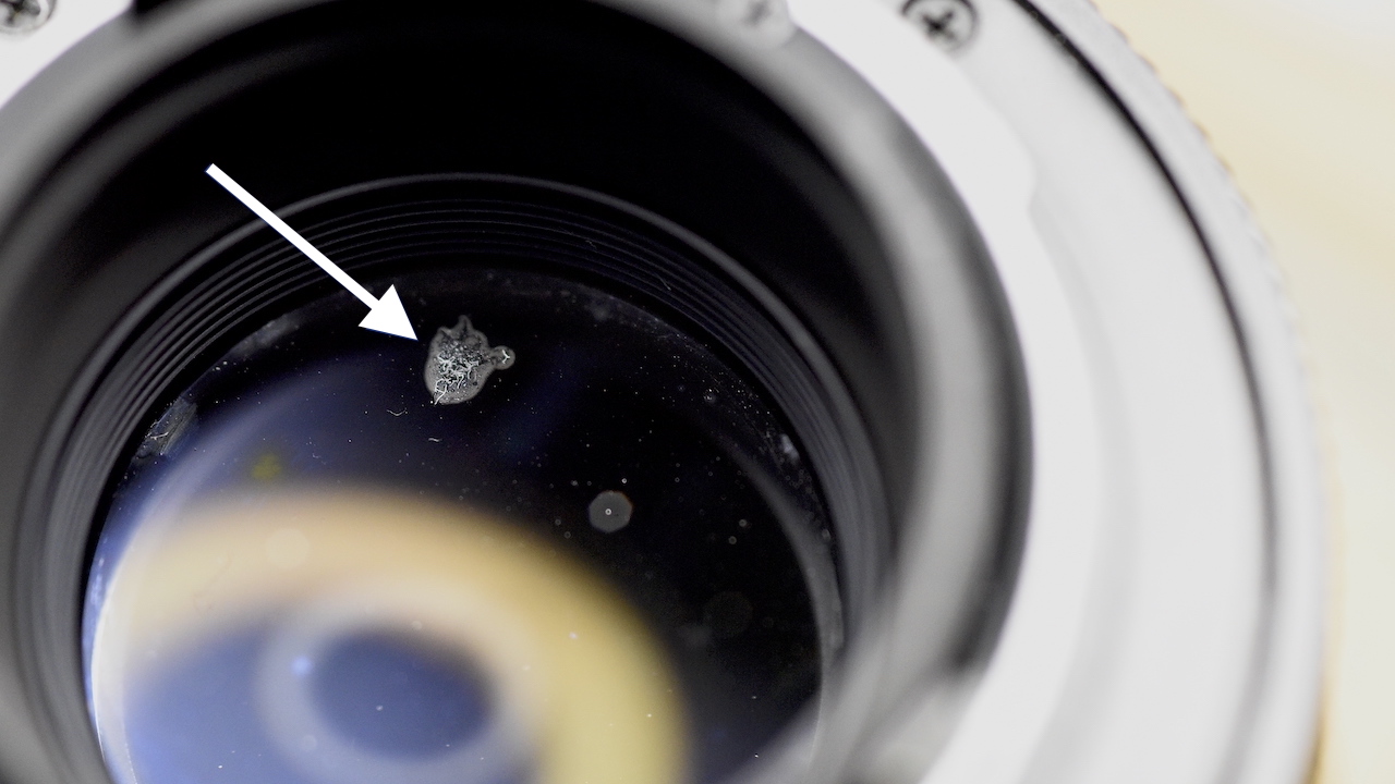 Cost To Clean Fungus From Camera Lens at June Huddleston blog