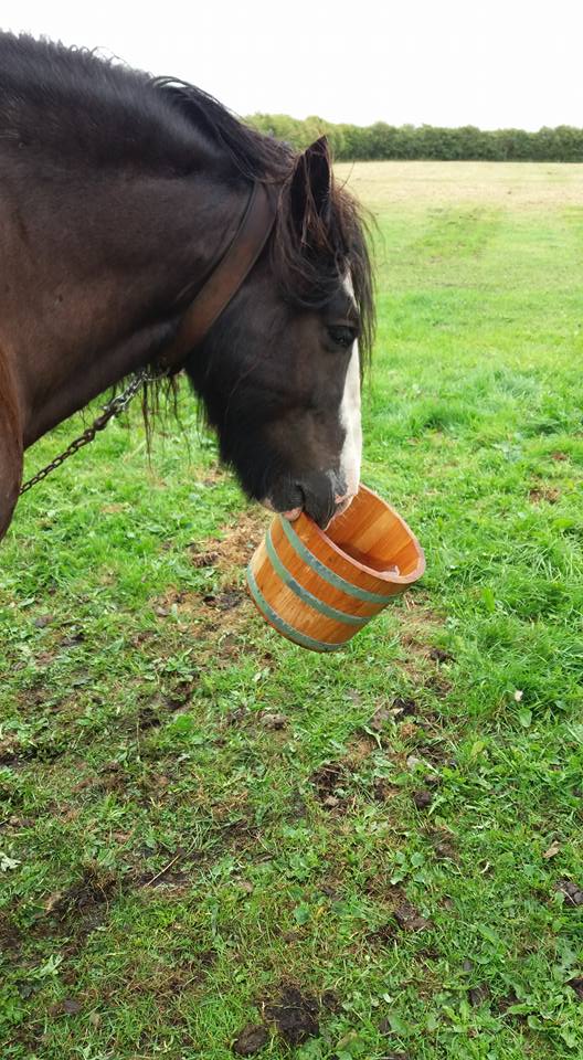 Horse and handmade wooden Bucket Worldwide Wheelwright