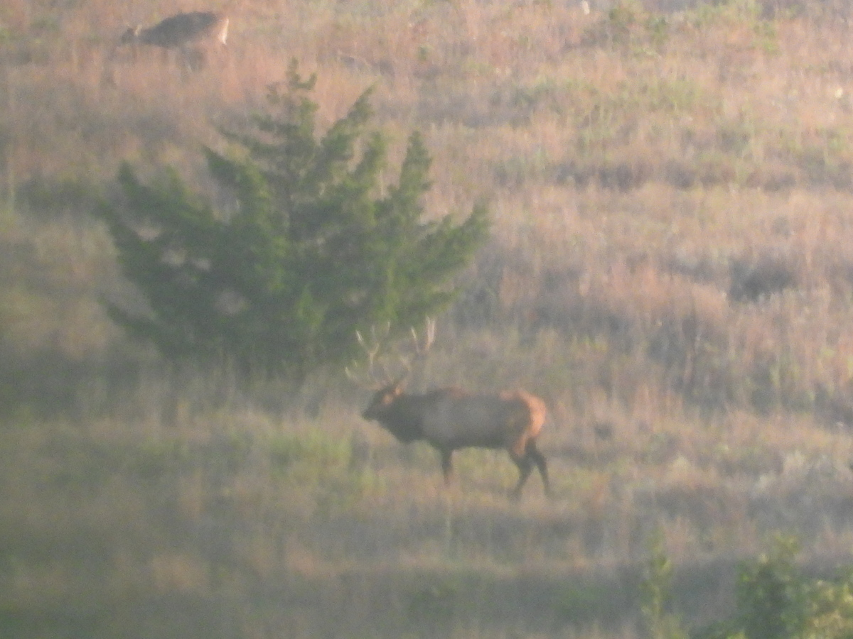 2021 Elk season about to kick off! 1