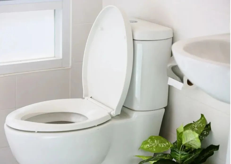 Direct Flush Toilets And Siphon Toilets? Which One Is More Practical?