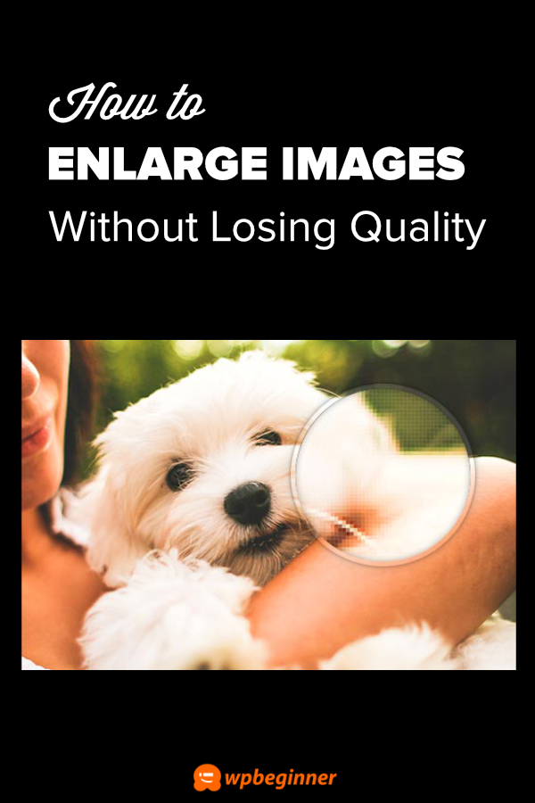 How to Resize and Make Images Larger without Losing Quality
