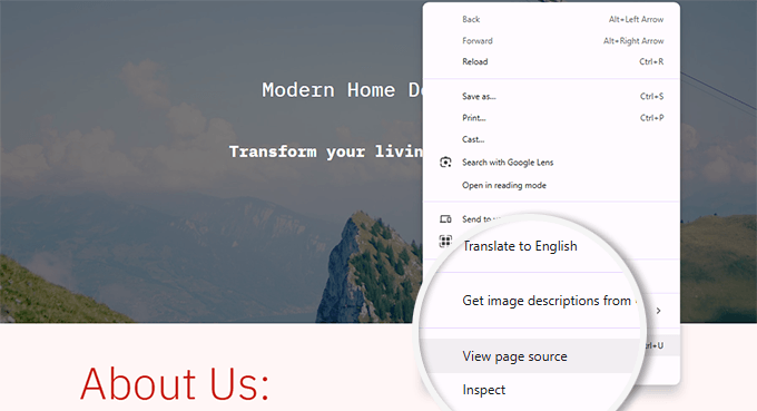 View page source View page source