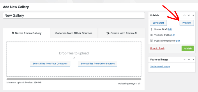 envira-gallery-preview-button Envira Gallery preview button