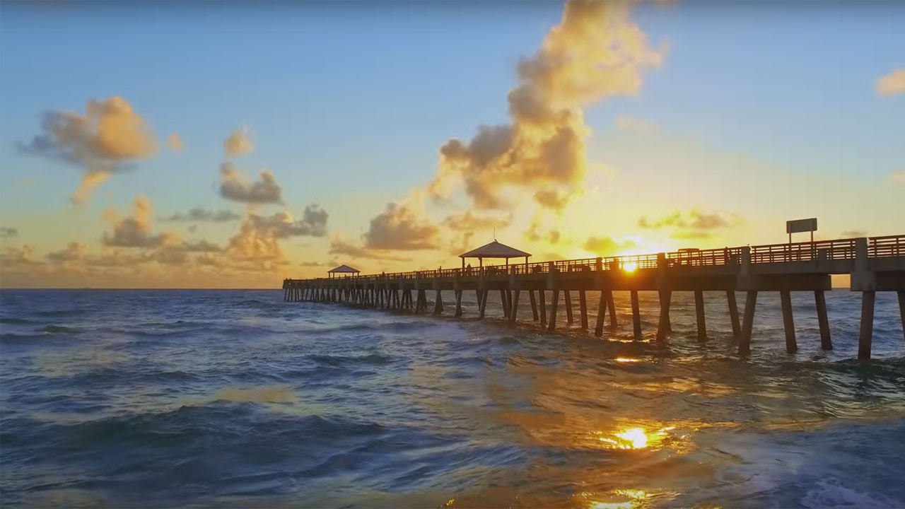 Discover The Palm Beaches The Perfect Place In Florida