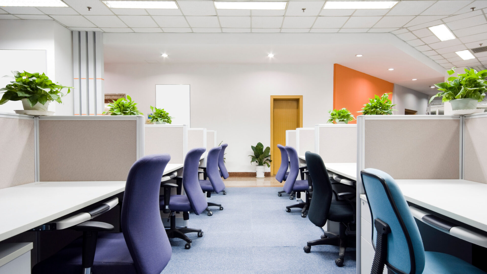 A Clean Office Reception Why Is It important?
