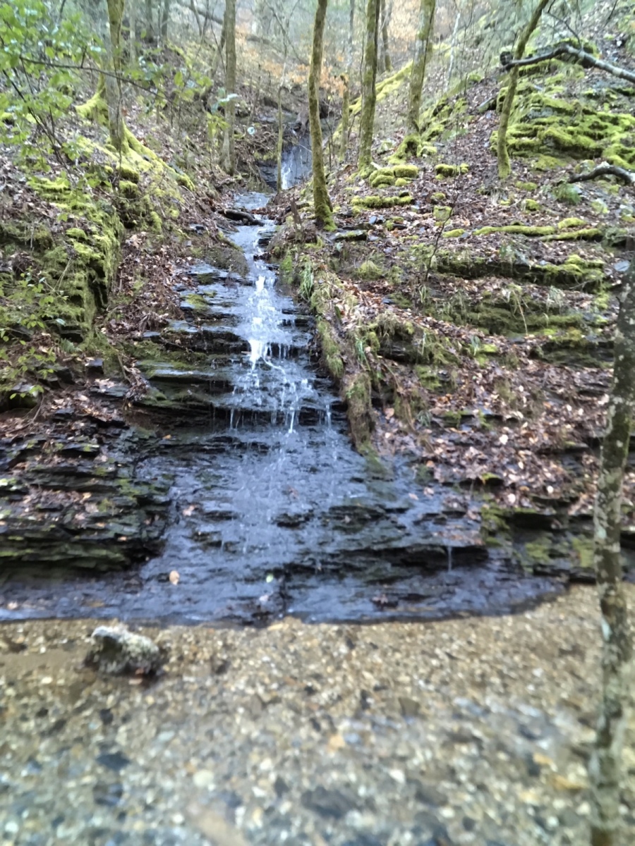 Wolf Pen Gap Photo Gallery Wolf Pen Gap ATV Rentals