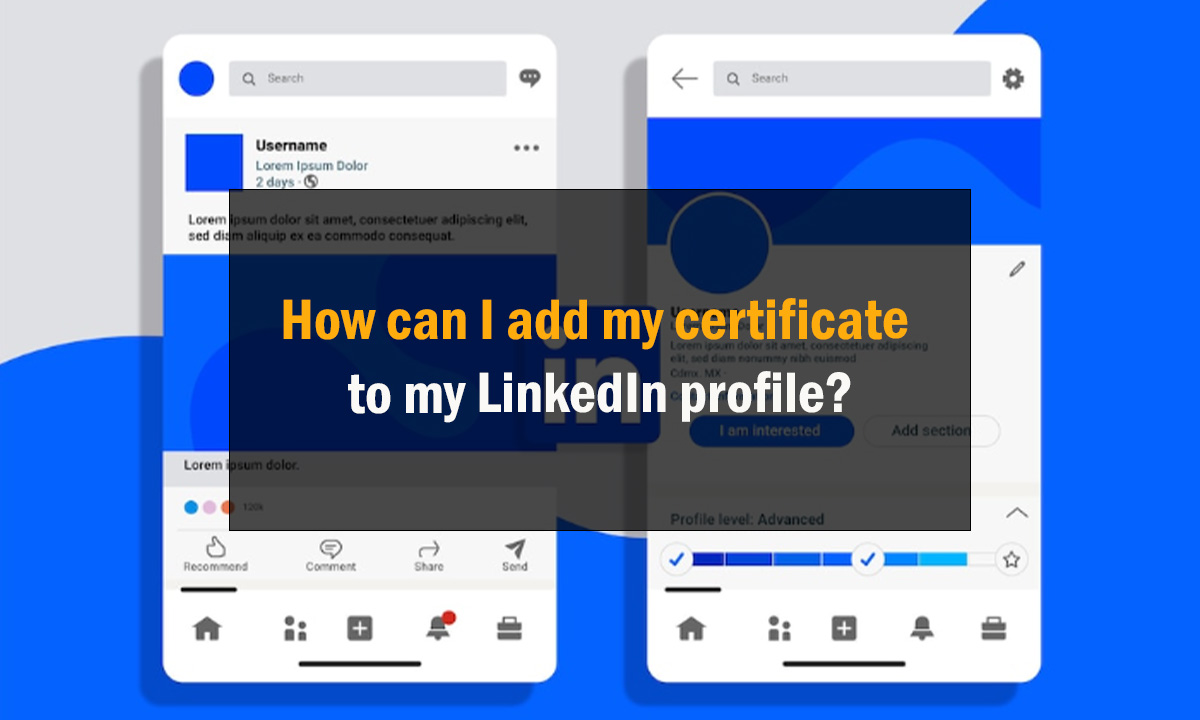9 Comprehensive Guide How can I add my certificate to my LinkedIn profile?