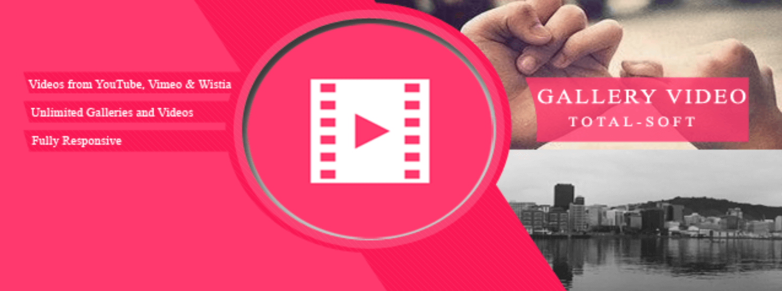 Which Is The Best Video Gallery Plugin WordPress 2022?
