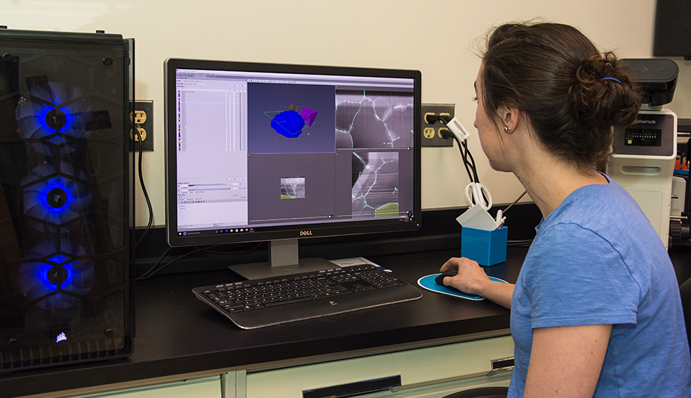 Materials Process Engineering (MS) Academics WPI