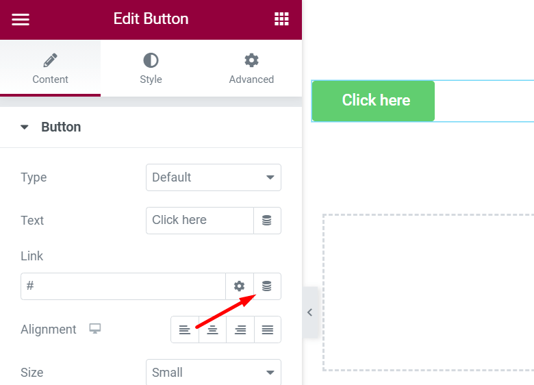 Elementor Dynamic Content. What it Is and How to Add One? WPPagebuilders