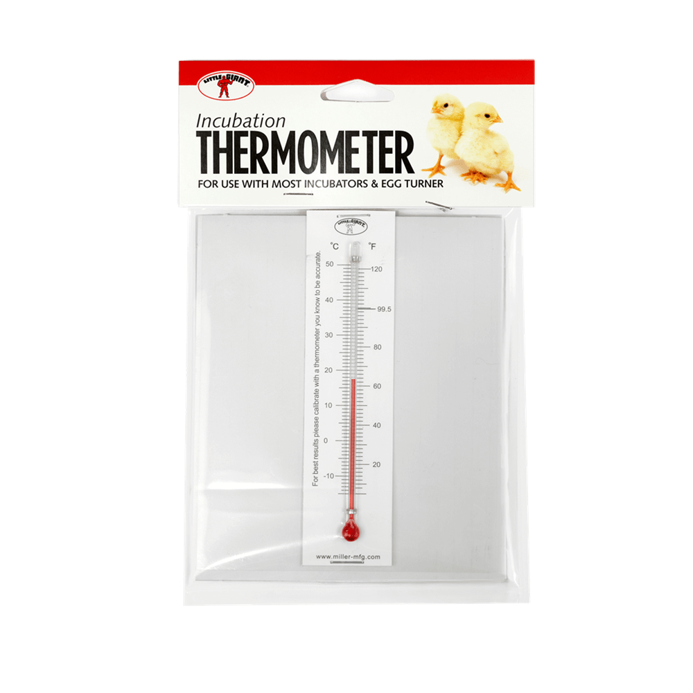 Incubator Thermometer Kit