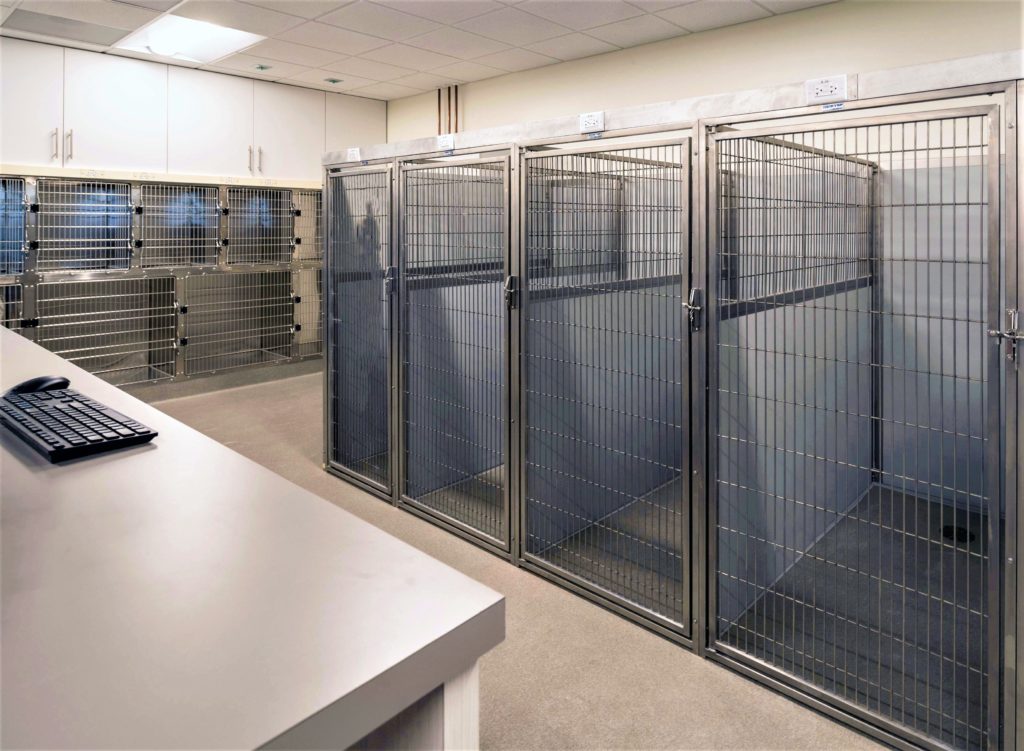 Points East Veterinary Emergency Hospital Case Study Williams Realty