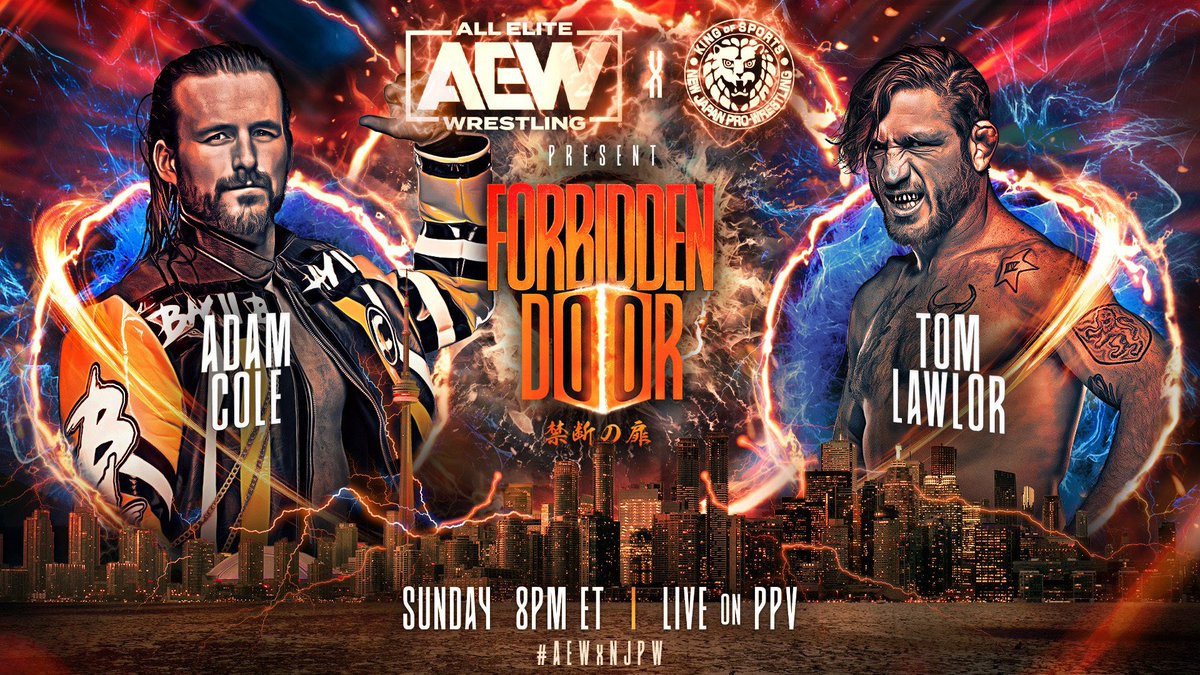 Aew Forbidden Door 2023 Match Card