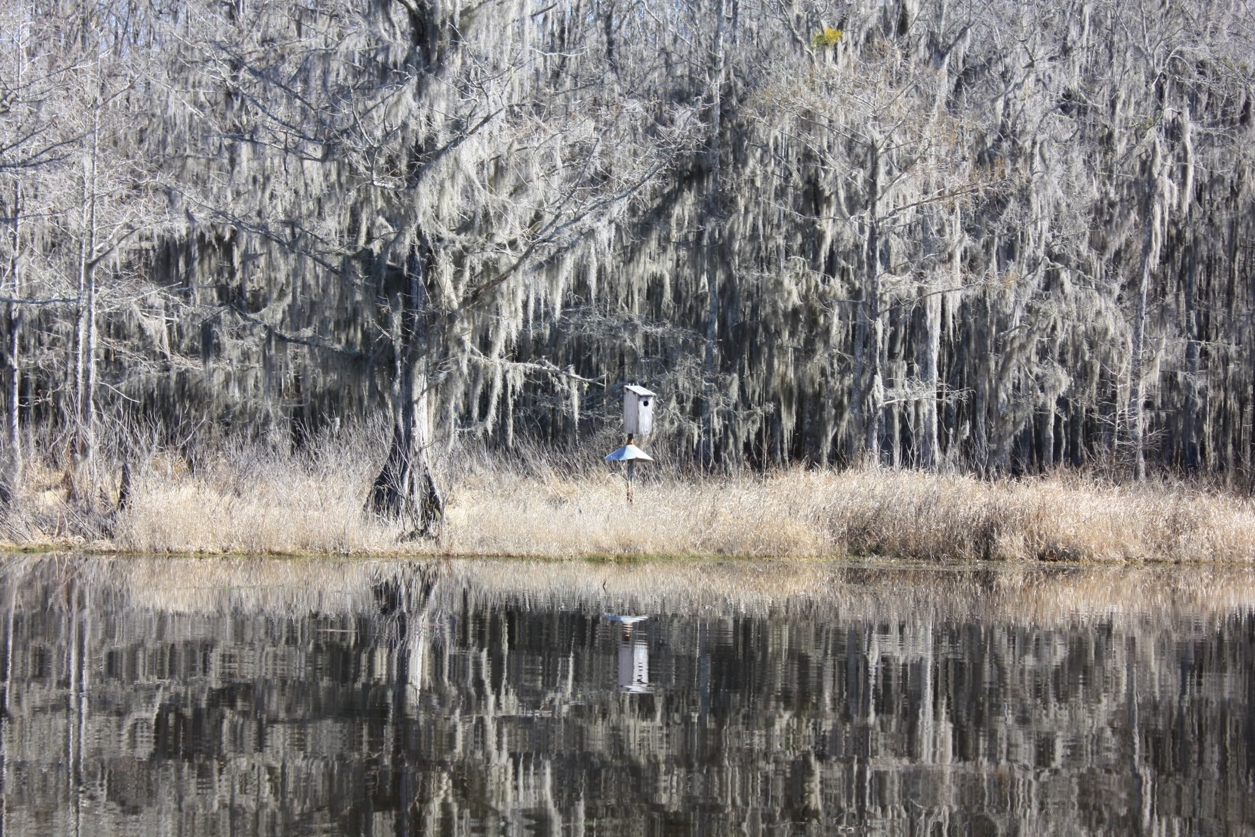 517+/ acres on Lake Miccosukee SOLD