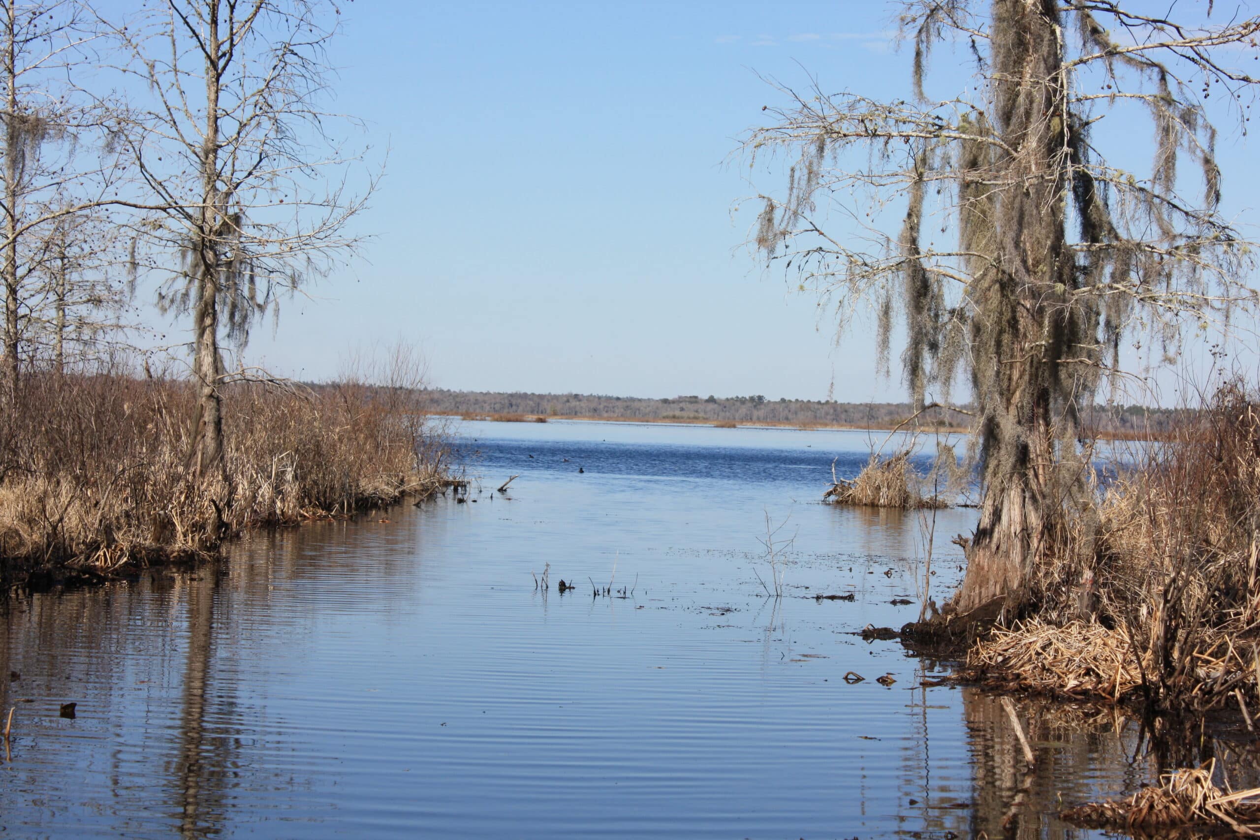 517+/ acres on Lake Miccosukee SOLD