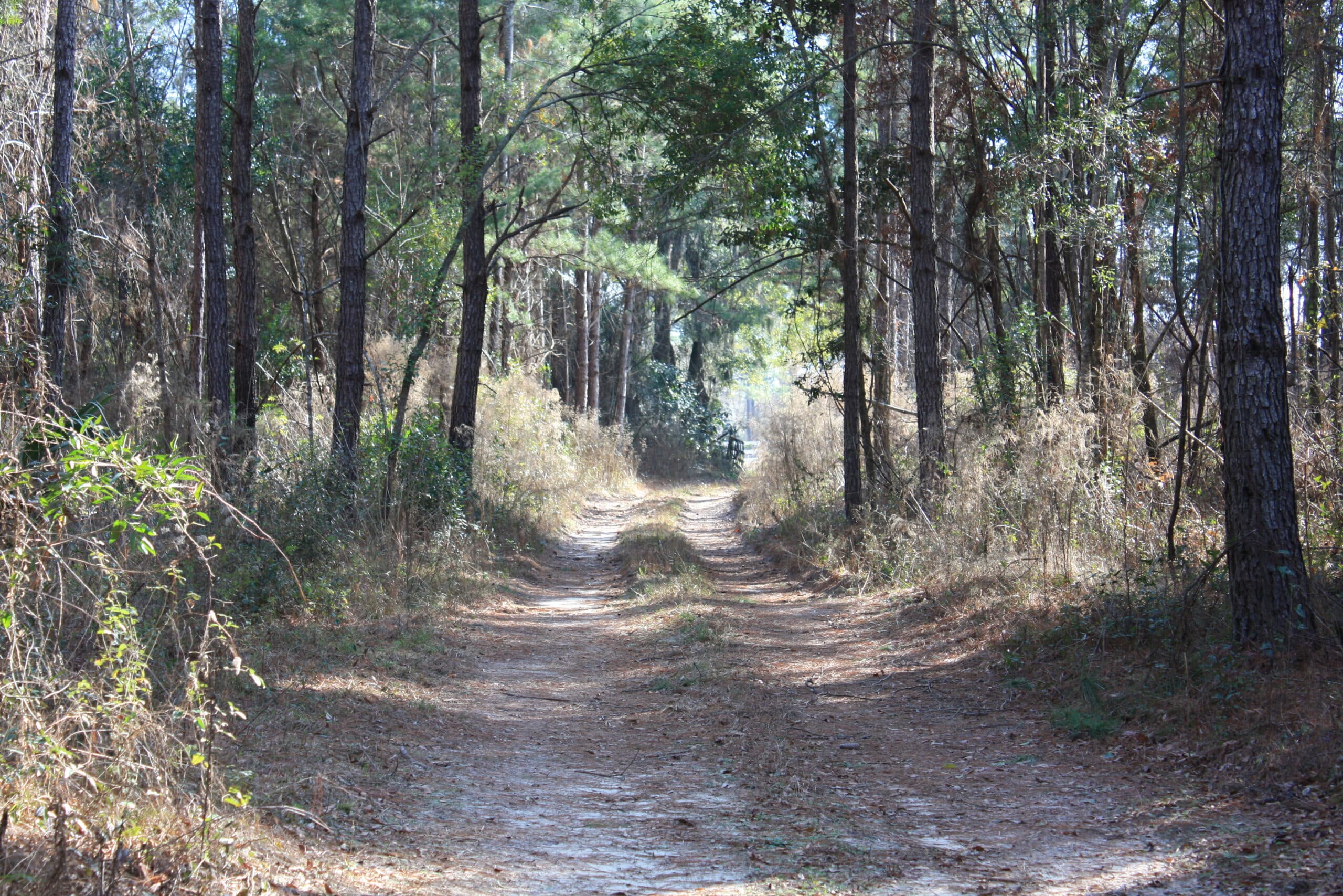 517+/ acres on Lake Miccosukee SOLD