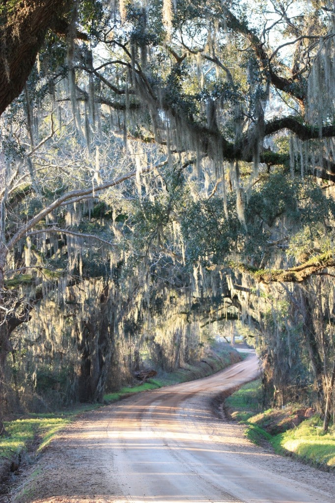 Hickory Head Plantation