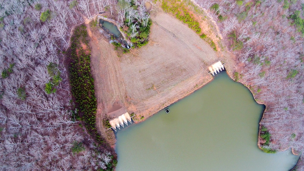 Lake Nancy 910 Quality Deer Managed Acres (QDM) Harris County, GA