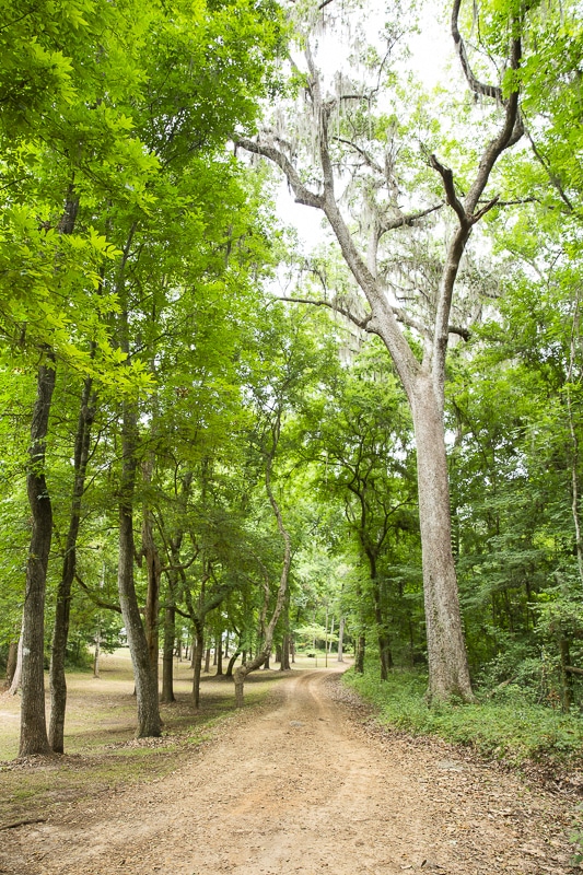 Lake Miccosukee Lodge