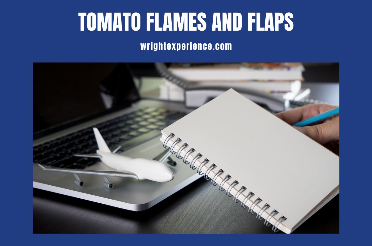 Tomato Flames And Flaps What Do They Do For VFR Flights?