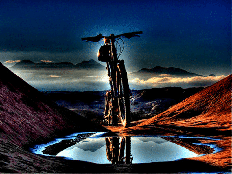 June 20, 2011 Get Wags Gloves