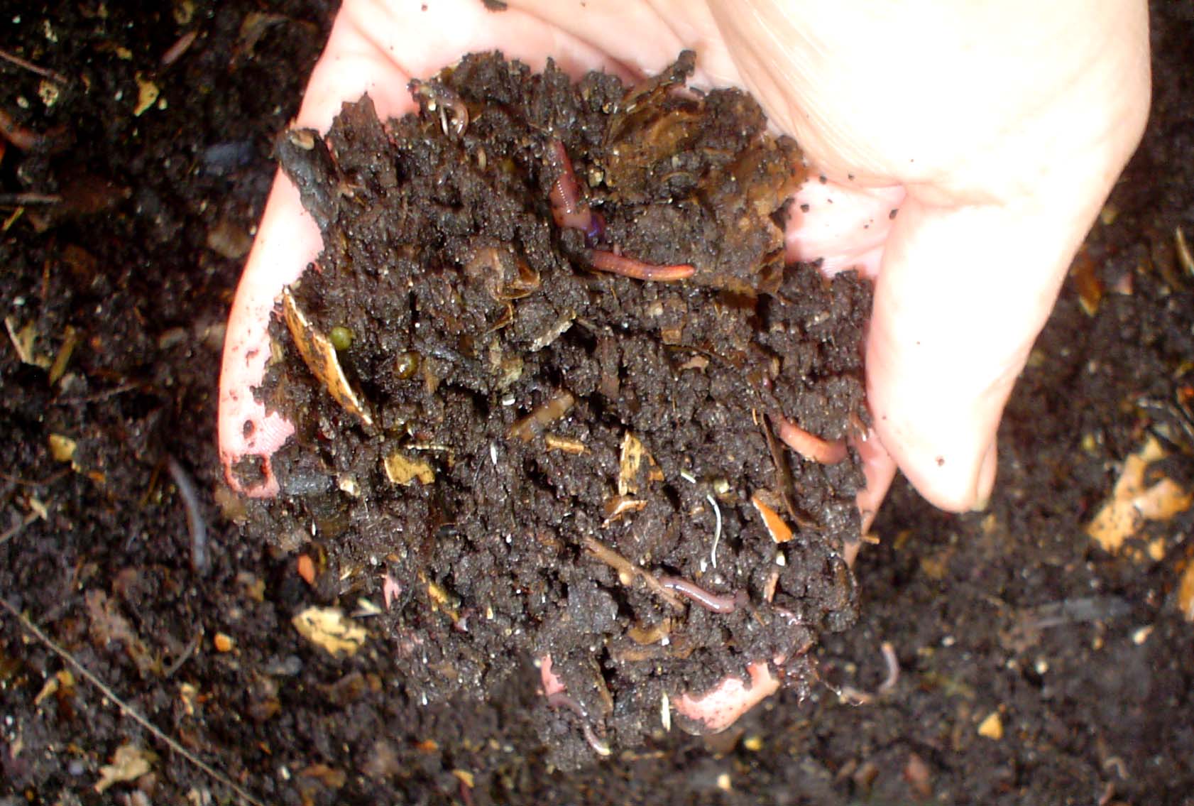 Home composting in a small garden Container vegetable gardening in