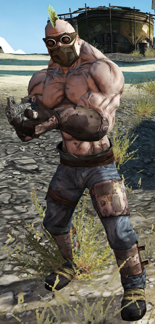 Bandits in the first Borderlands video game