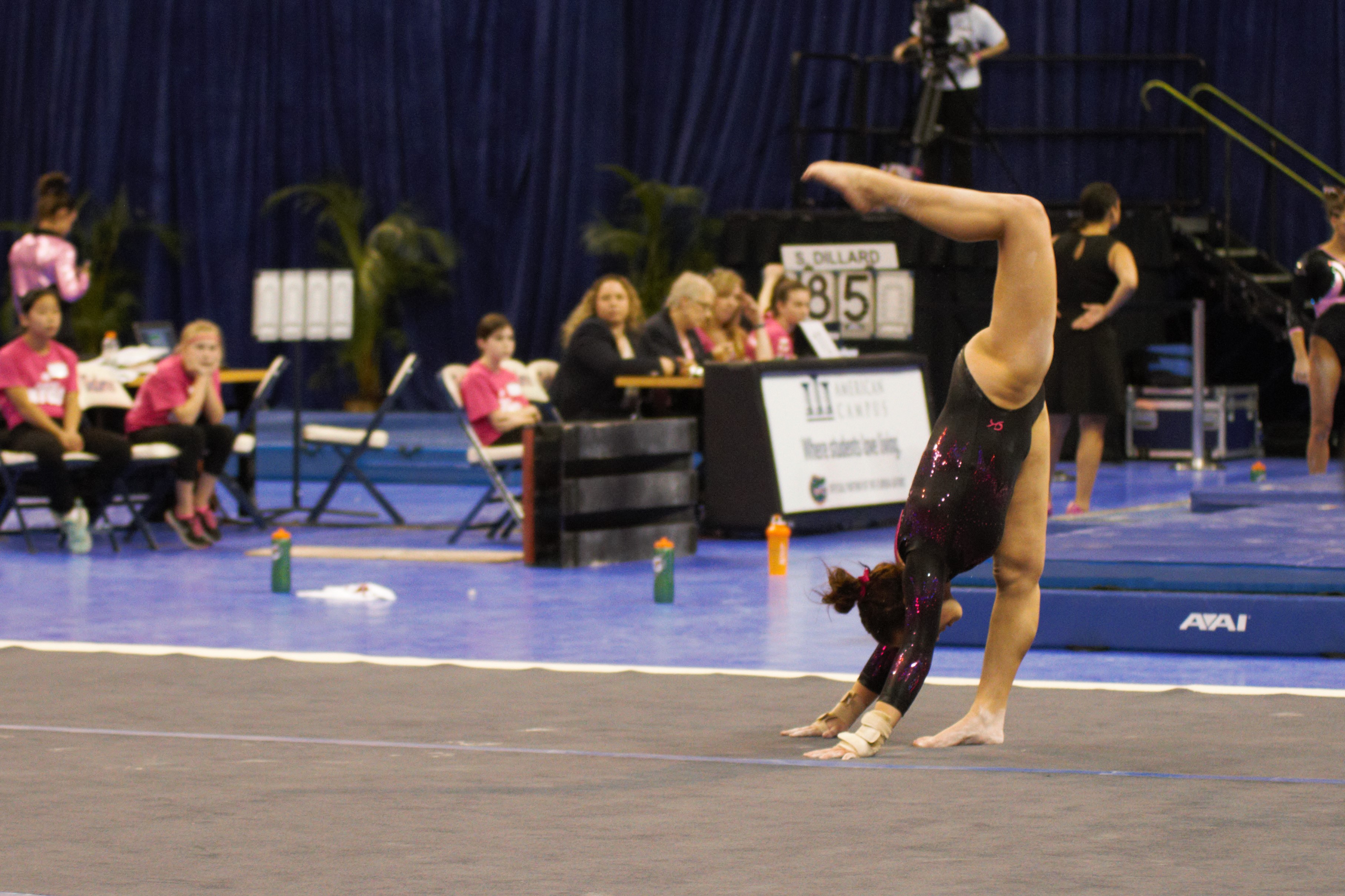 Gator Gymnastics Clawed By LSU ESPN 98.1 FM 850 AM WRUF