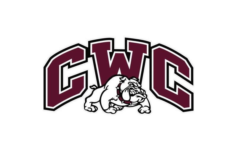 CarmiWhite County CUSD 5 School Board Member Vacancy WRULFM