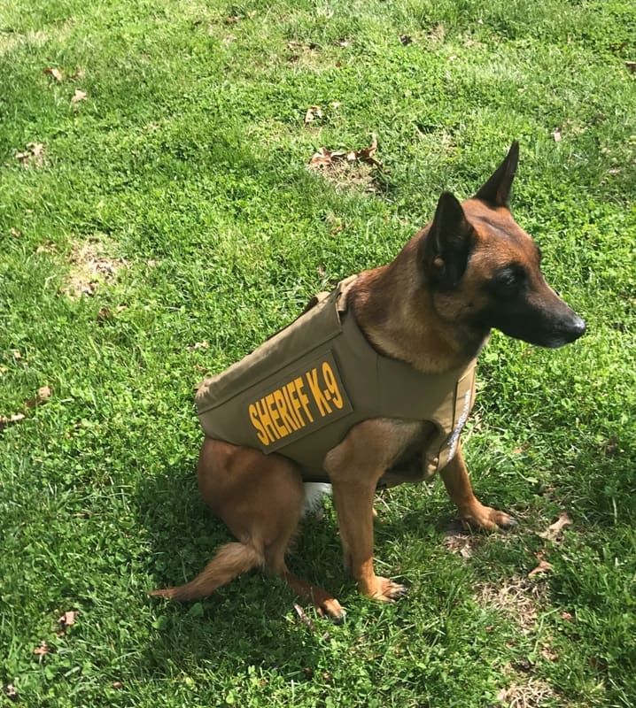 White County K9 Awarded Healthcare Grant WRWH