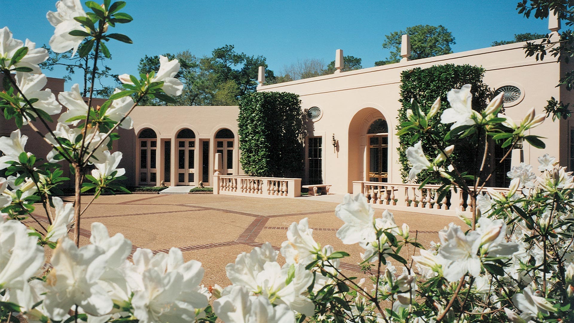 Museum of Fine Arts, Houston Rienzi Restoration and Conversion Bellows