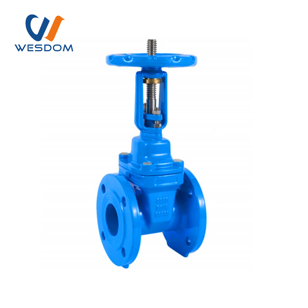 DIN EPDM seat Rising stem gate valve for water supply pipe lineWESDOM