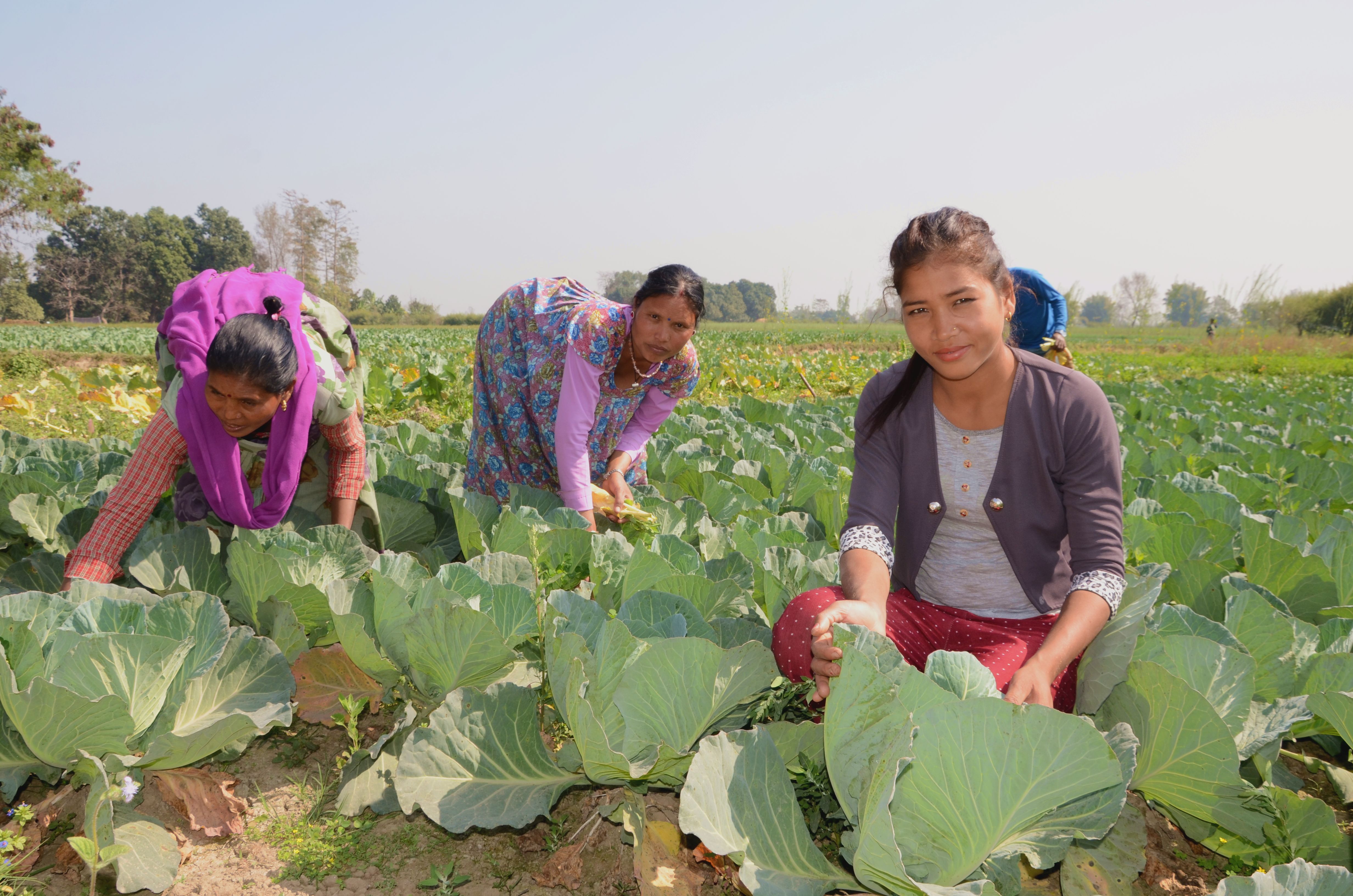 Vegetable farming increasing family Nepal World Vision
