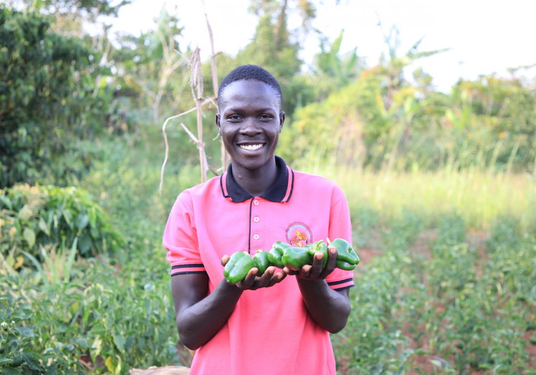 A green pepper garden is keeping Faima’s future hopes alive Uganda