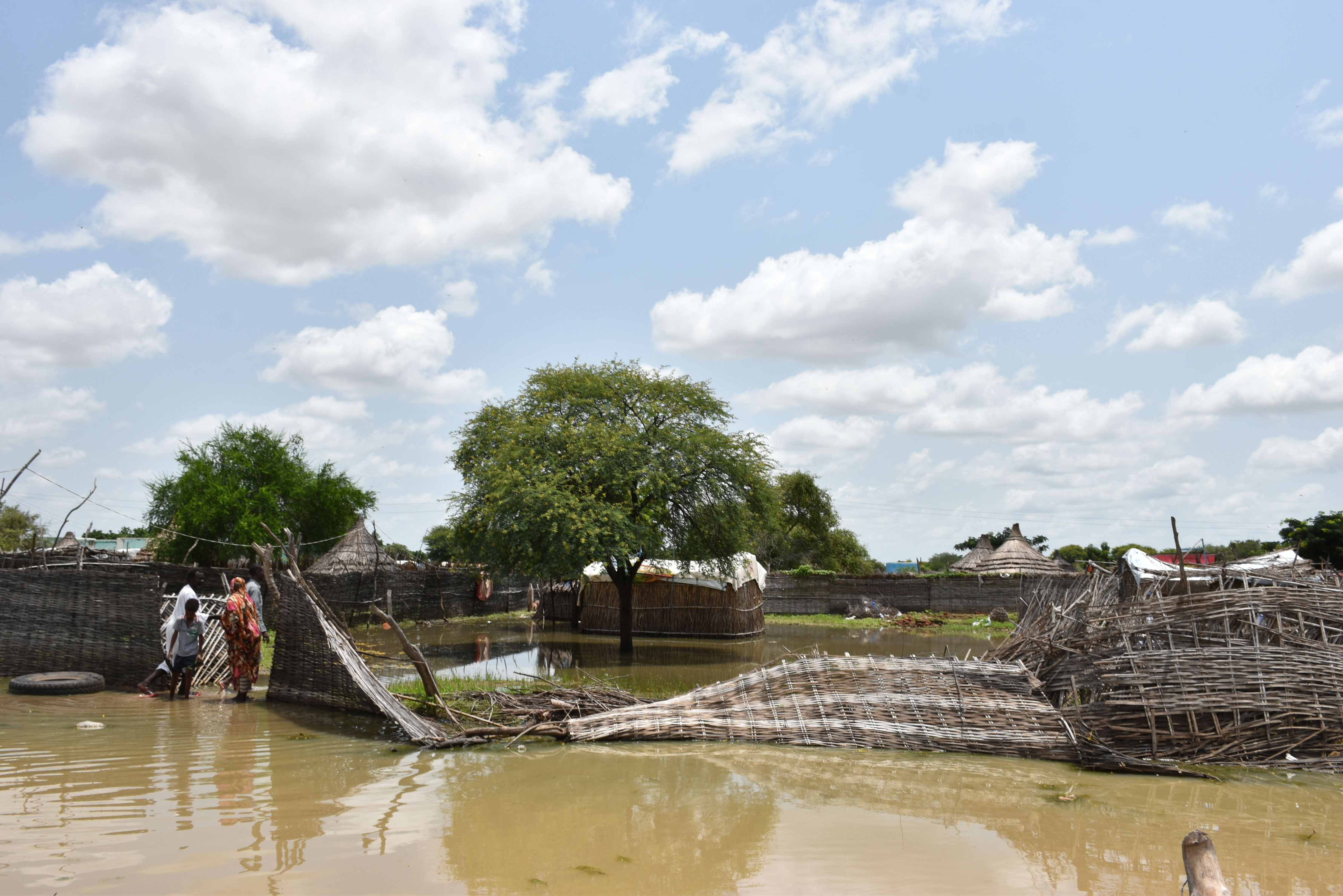Floods leave over 770,000 people across Sudan devastated and in urgent