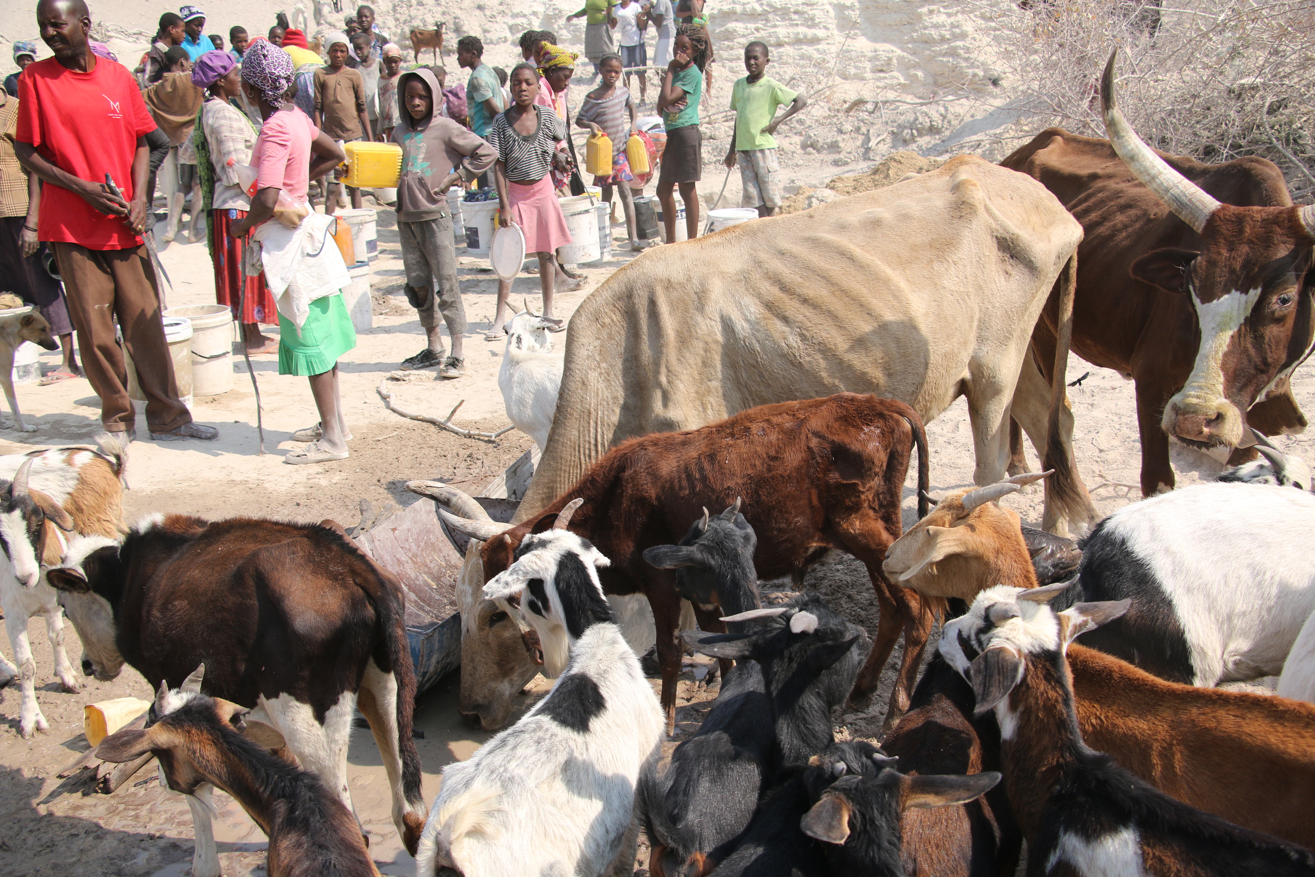 Drought forces families to leave their homes in search for food and